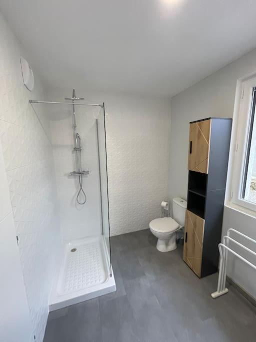 Appartement T3 Avec Jardin Et Veranda Saint-Priest (Rhone)