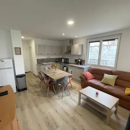 Appartement T3 Avec Jardin Et Veranda Saint-Priest  Exterior foto